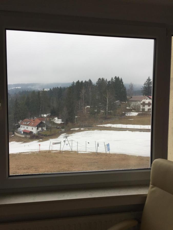 Dreisessel Dreilaendereck Pool Sauna Neureichenau Luaran gambar